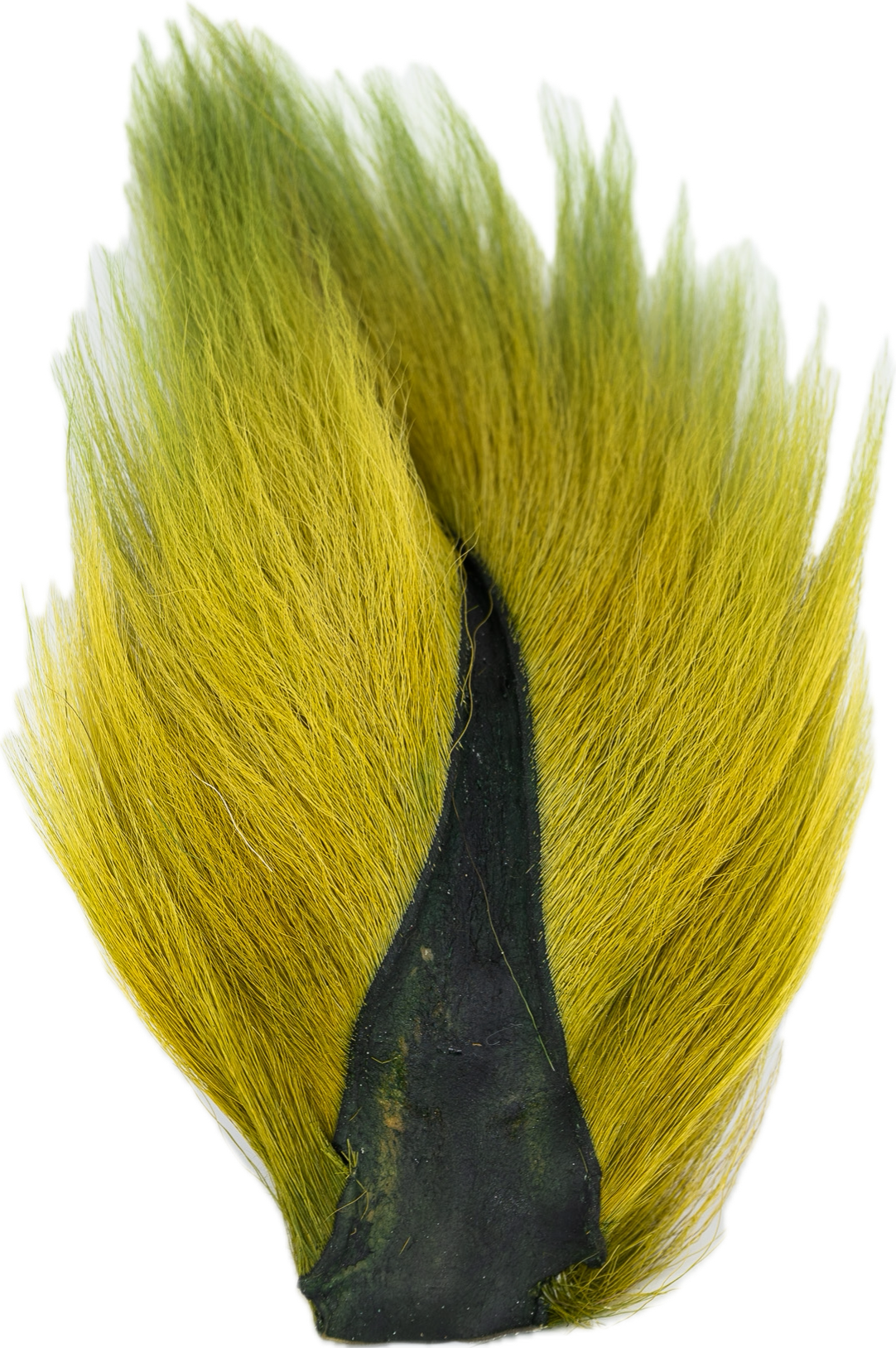 Appalachian Bucktail - AA