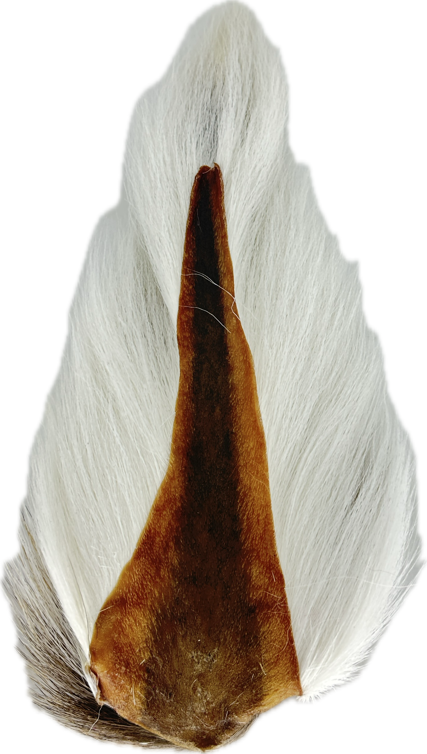Appalachian Bucktail - AA