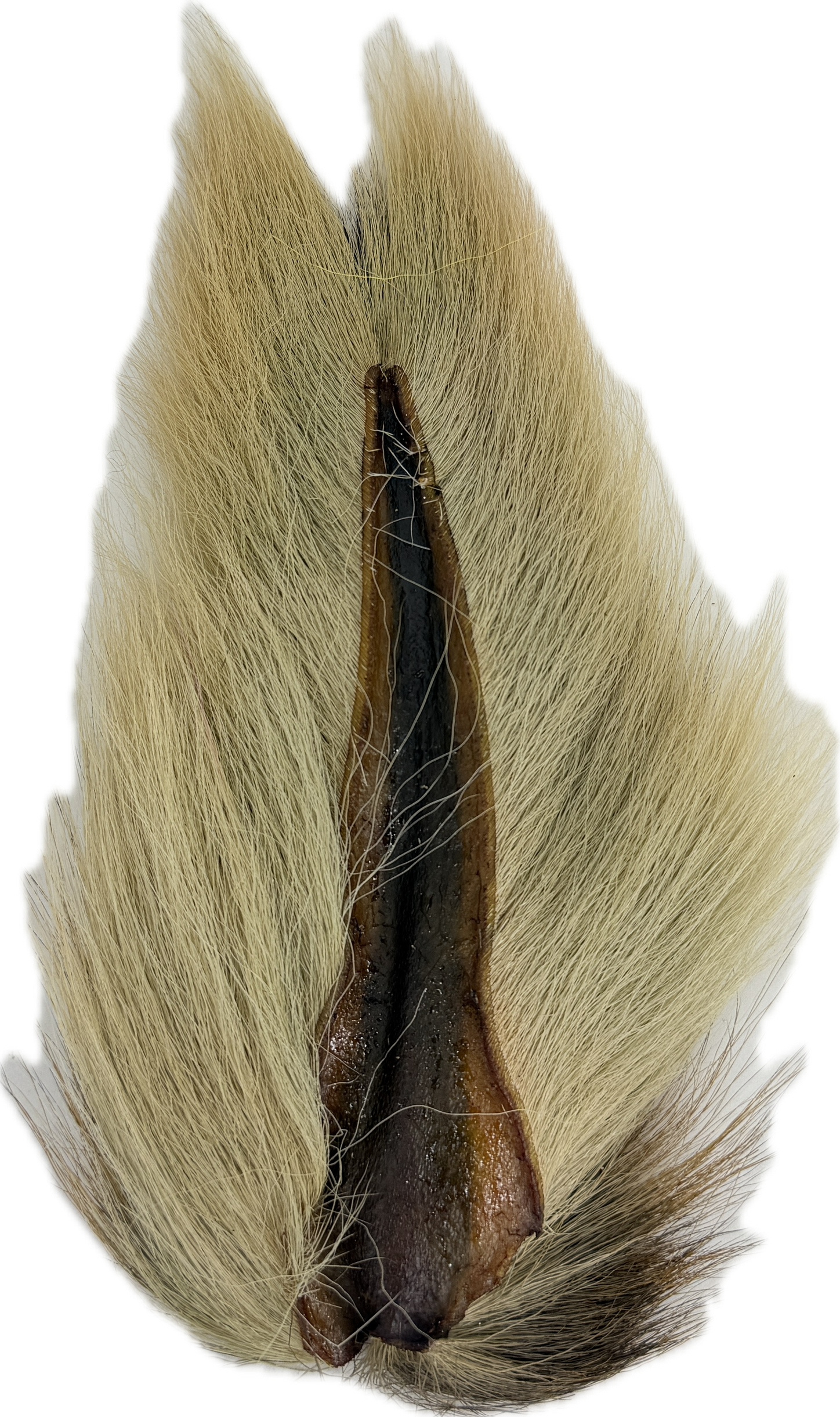 Appalachian Bucktail - AA