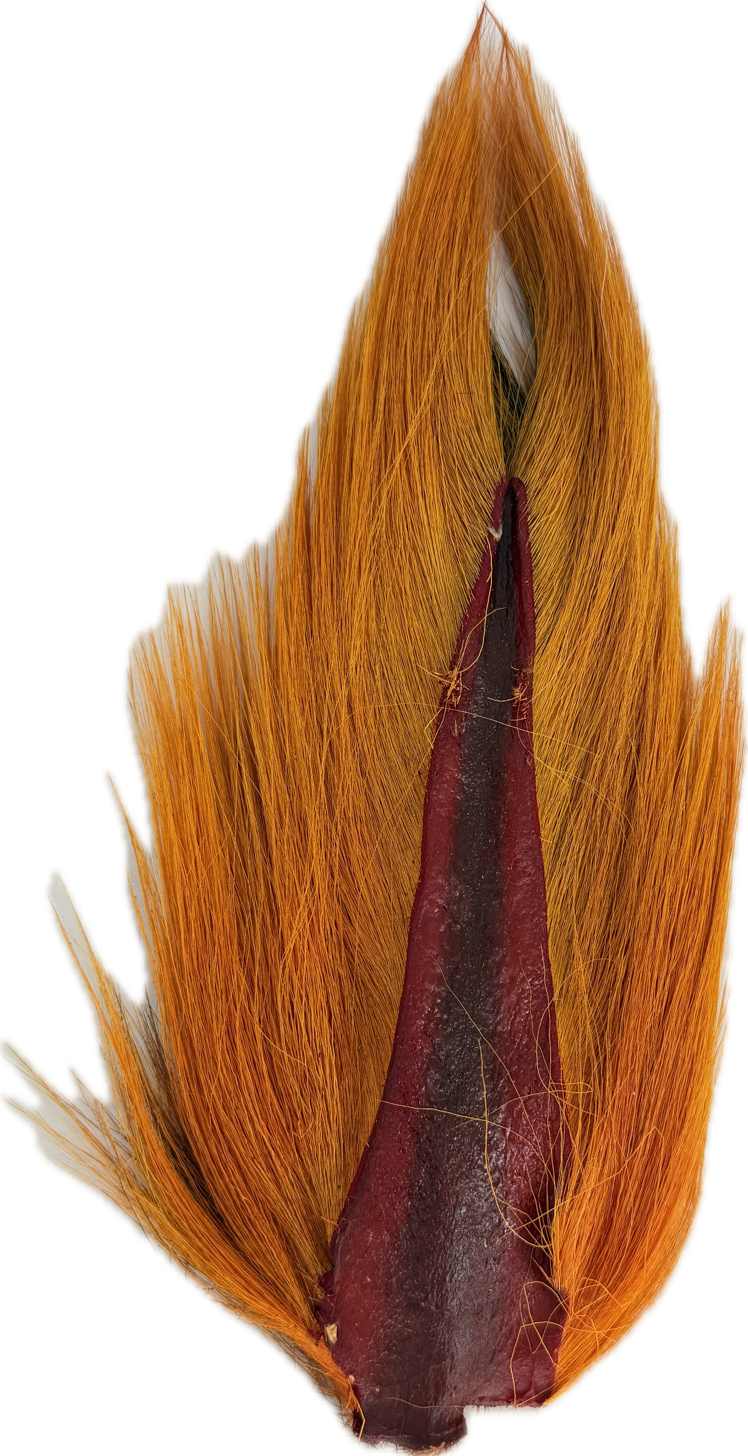 Appalachian Bucktail - AA