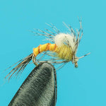 Sulphur CDC Biot Emerger