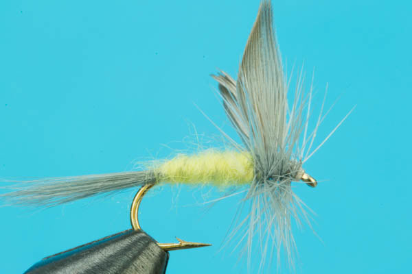 Sulphur Dun Dry Fly – Mayfly