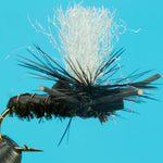 Suspended Beetle