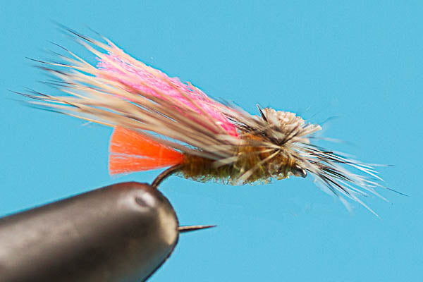 Tactical Caddis (Barbless) - Dry Fly