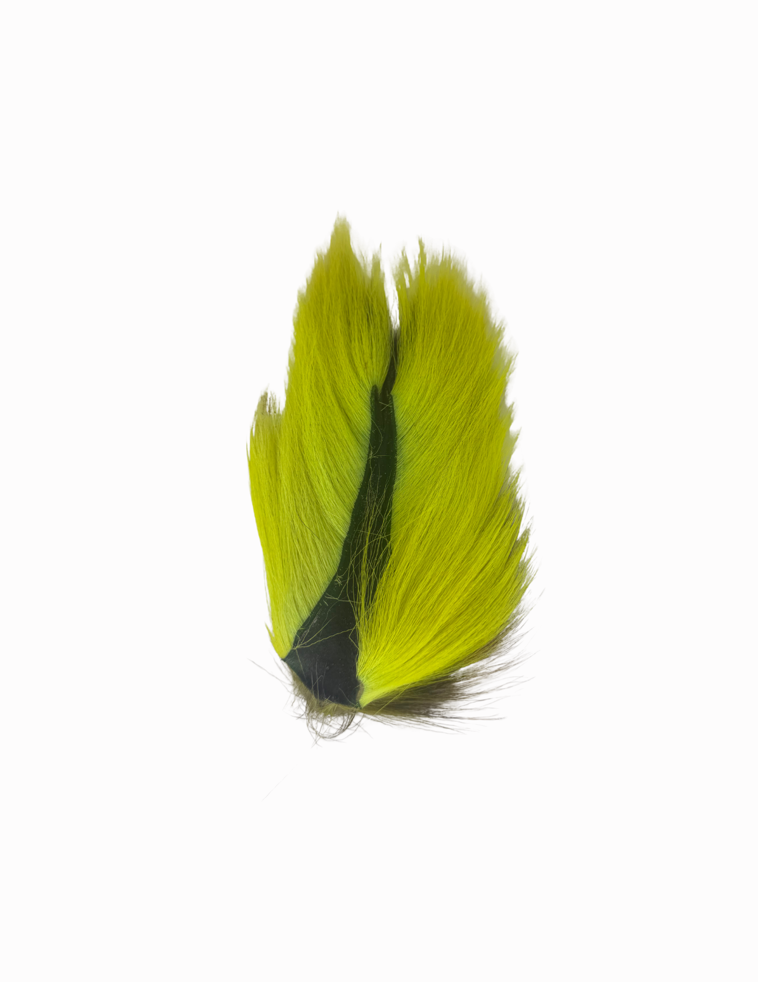 Appalachian Bucktail - AA