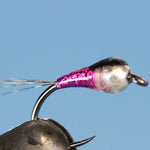 Perdigon Flash Nymph-Tungsten (Barbless)