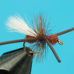 Turck's Power Ant