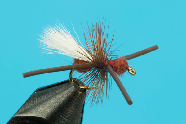 Turck's Power Ant