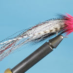 Whistling Deceiver