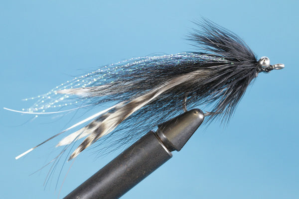 Whistling Deceiver