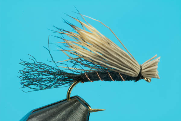 X Caddis