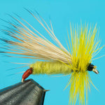 Yellow Sally