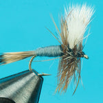 Adams Wulff White Wings
