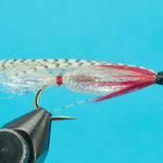 Alaskan Smolt