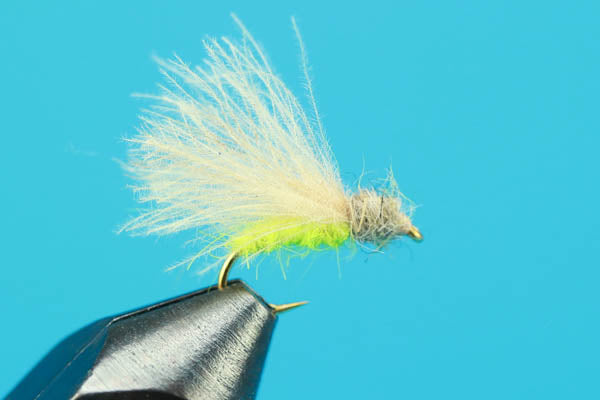 Apple Caddis - Dry Fly