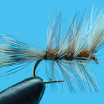 Ausable Bomber