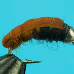 Bottom Bouncing Caddis-Beadhead