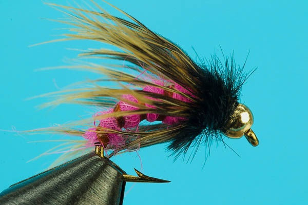 Circus Caddis-Beadhead