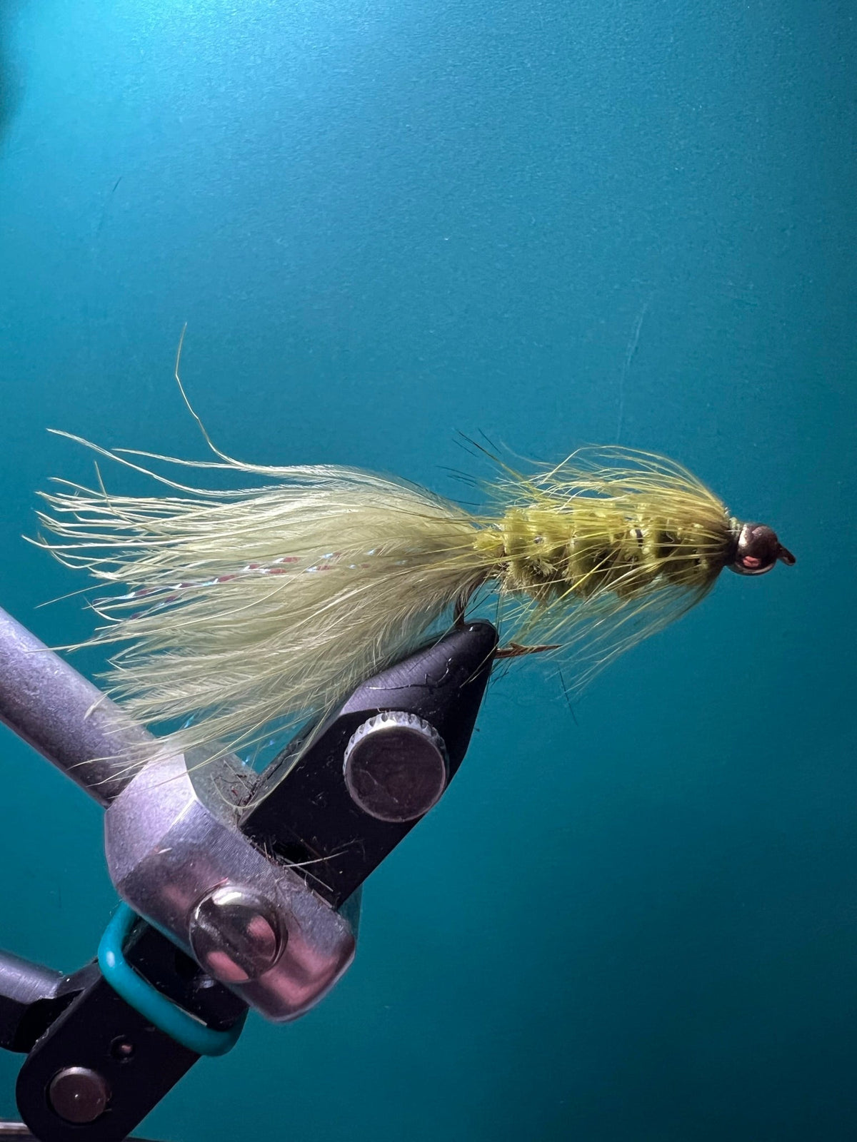 Beadhead Woolly Bugger