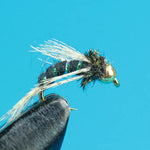 Bird Of Prey-Beadhead