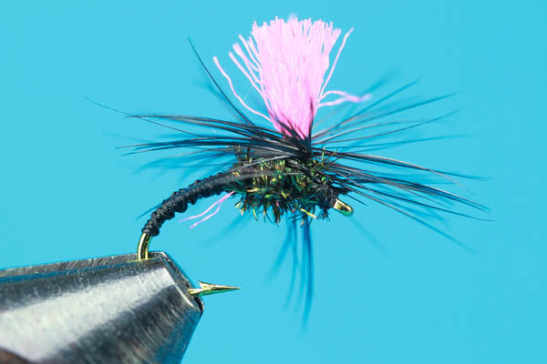Black Magic Dry Fly
