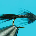Black Quill Nymph