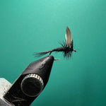 Black Gnat