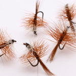 Brown Bivisible