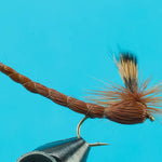 Brown Drake Paradrake