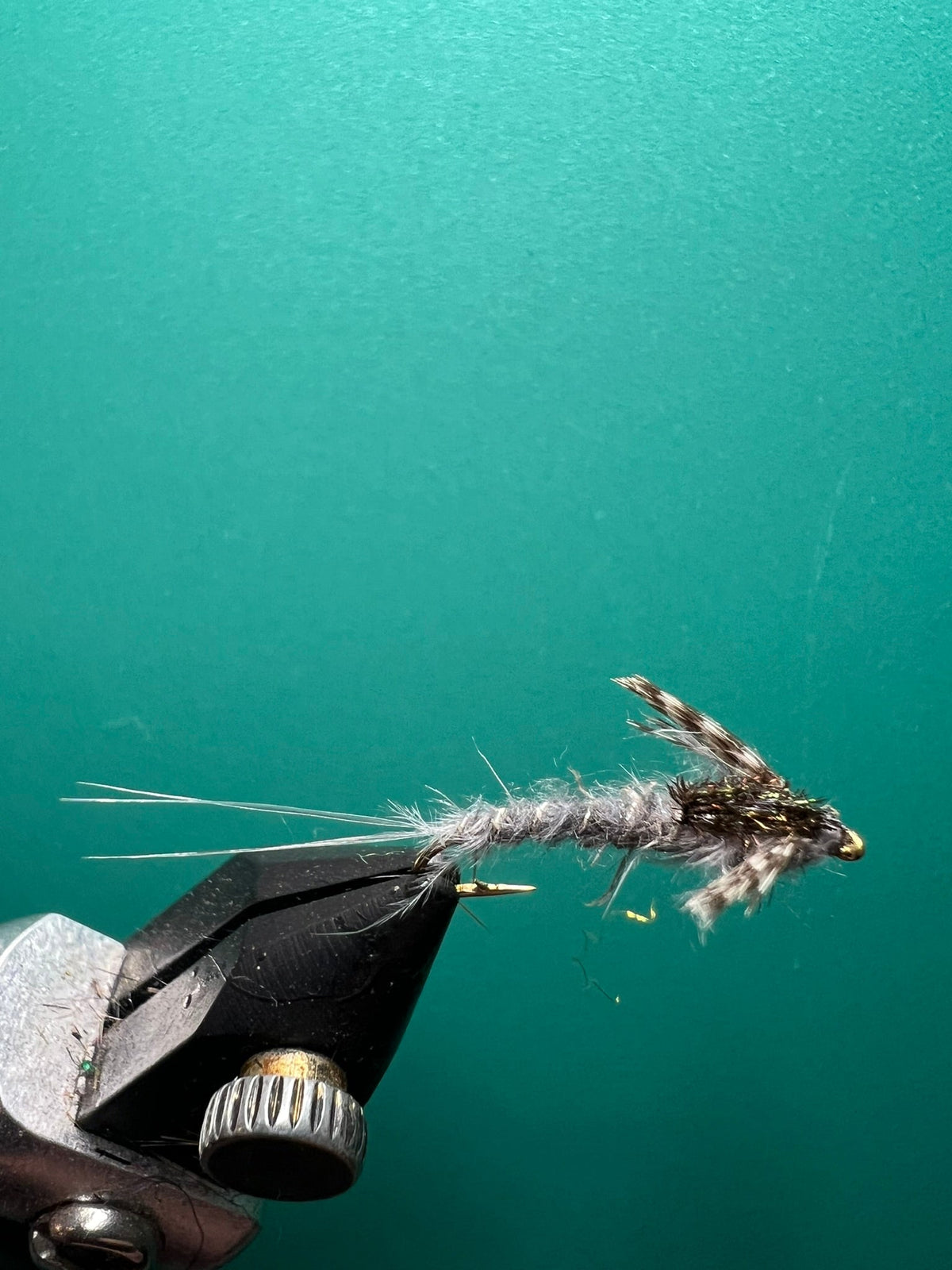 Callibaetis Nymph