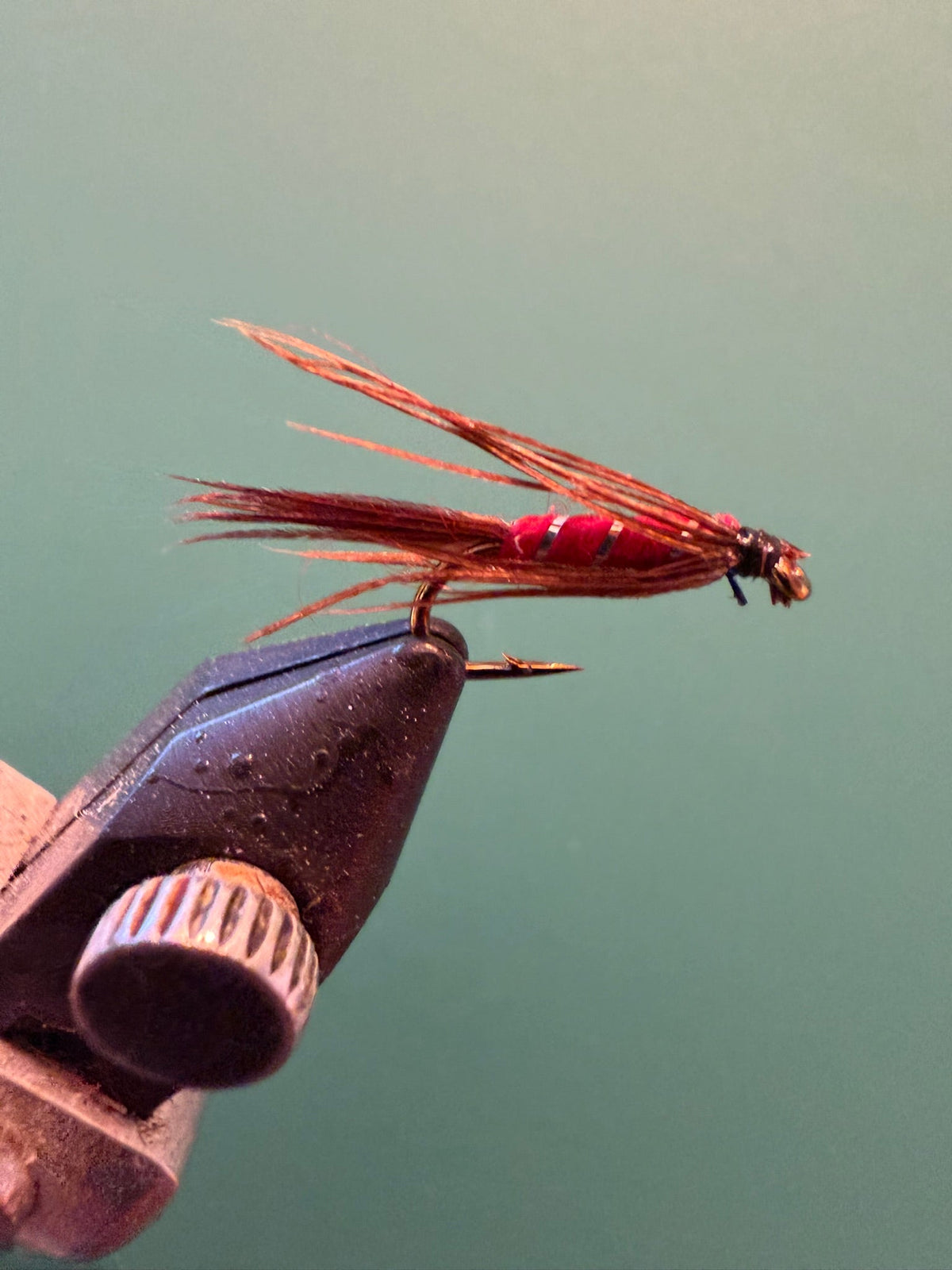 Carey Special
