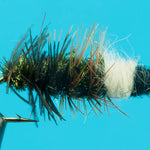 Cased Caddis
