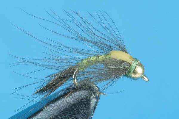 CDC Downey-Tungsten