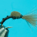 CDC Midge Pupa