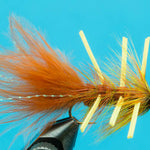 Conehead Autumn Splendor