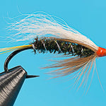 Steelhead Coachman