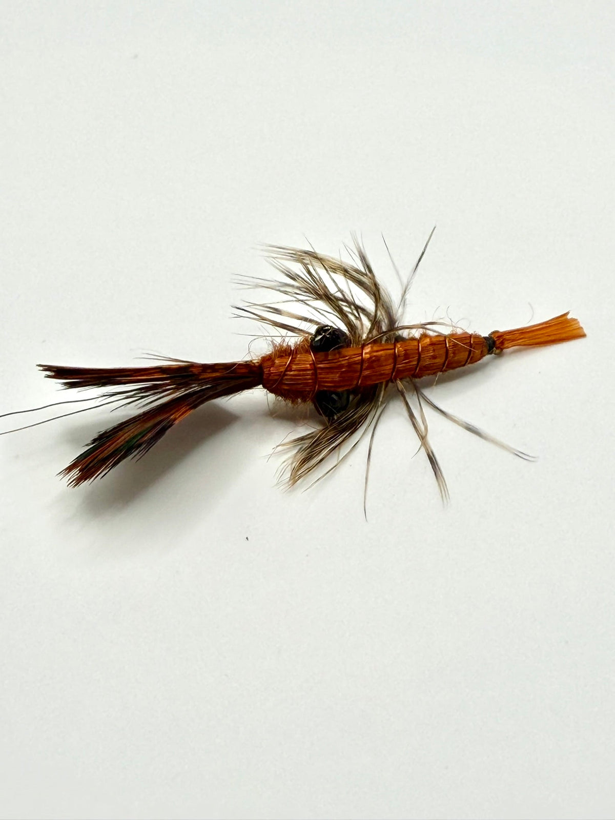 Crayfish