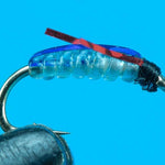 Crystal Chironomid
