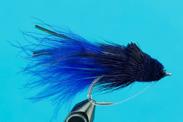 Dahlberg Diver