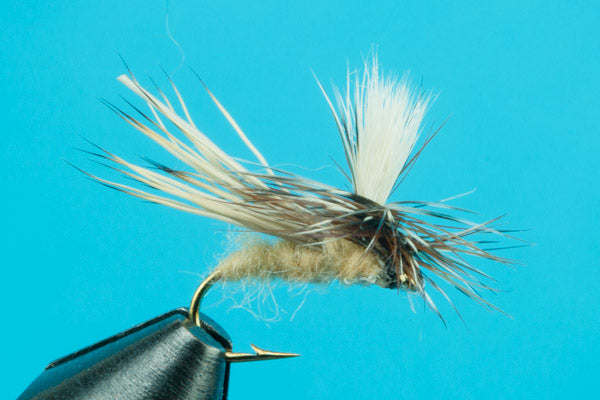 Dancing Caddis - Dry Fly