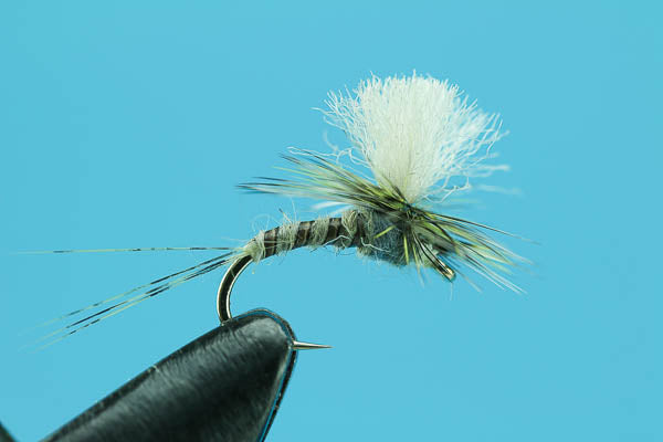Doctor Drake  - Mayfly Dry Fly