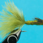 Dragonfly Nymph