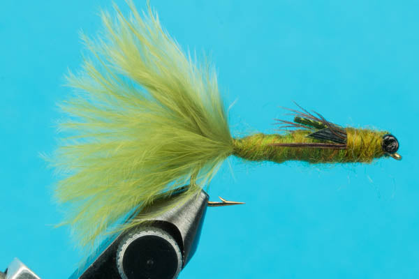 Dragonfly Nymph