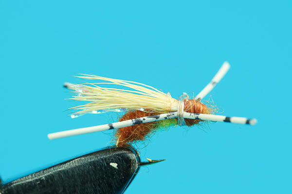 Elk Ant