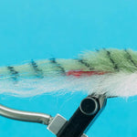 Enrico's Mackerel