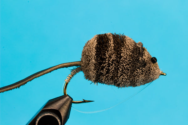 Eric's Mouse