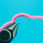 Flash San Juan Worm