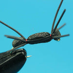 Foam Spider