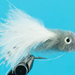 Fuzzabou Shad