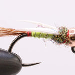 Golden StoneFly